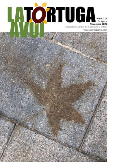Portada de la revista La Tortuga Avui núm. 114